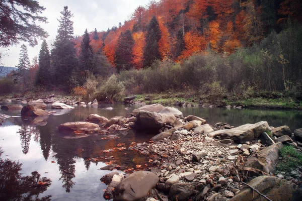 Sonbahar da dağ nehri. Kayalık kıyı. Renkli orman