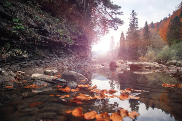 Sonbahar da dağ nehri. Kayalık kıyı. Renkli orman