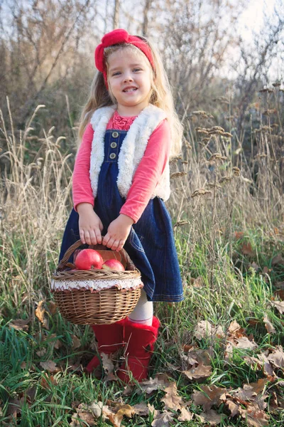 Bambina in abiti accoglienti con mele su sfondo dorato autunno . — Foto Stock