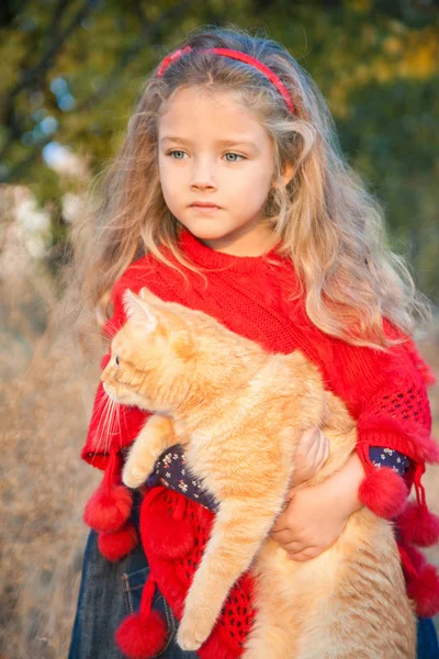 Portrait of a little girl with a red cat in her hands in autumn. — Stock Photo, Image