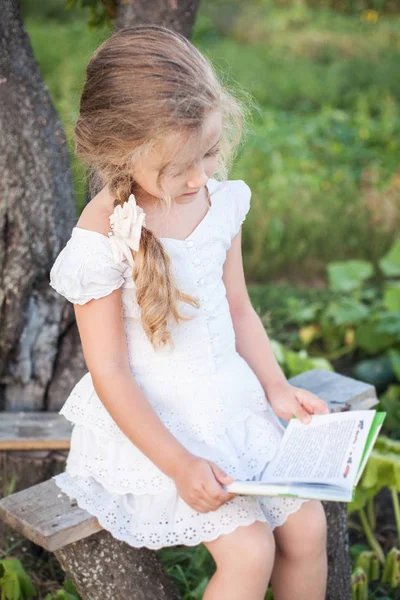 Little girl with a book in her hands on a meadow in a summer day. — Stock Photo, Image