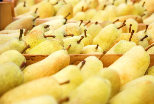 Veel rijpe gele peren na de oogst in een doos. Markt of supermarkt. — Stockfoto