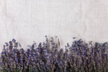 Kumaş arka planında lavanta deseni olan güzel bir çiçek arkaplanı. Kırsal ya da klasik arka plan. Kaliteli fotoğraf