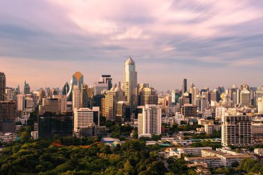 Ufuk çizgisi gün ışığı ağacı ve şehir Bangkok Tayland 