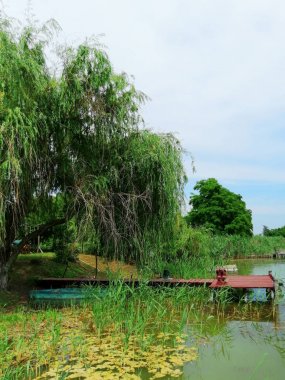 göl kenarında köprü ve tekne