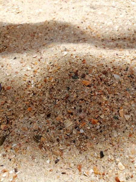 Textura Praia Arenosa Indo Perspectiva — Fotografia de Stock