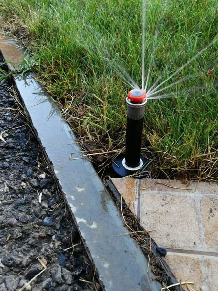 Sistema Irrigação Automática Para Jardim Perto Calçada — Fotografia de Stock
