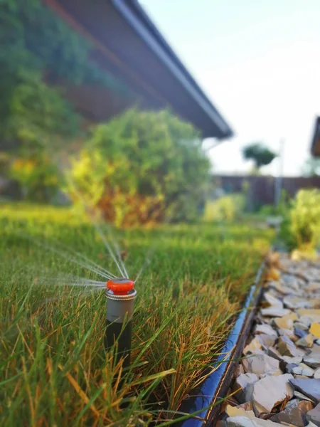 Sistema Irrigação Automática Para Jardim Perto Calçada — Fotografia de Stock