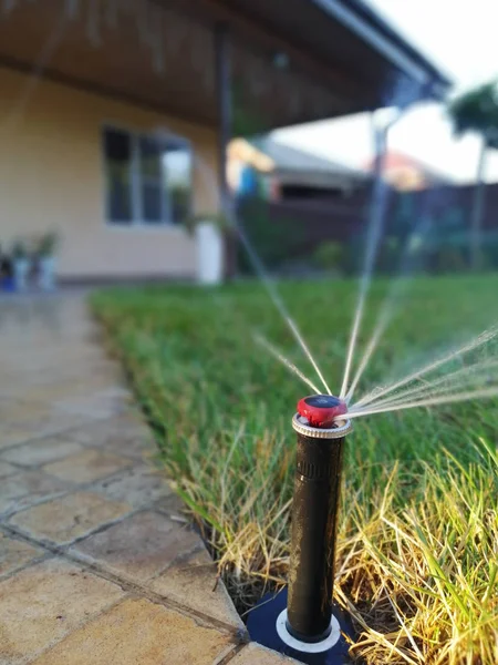 Sistema Irrigação Automática Para Jardim Perto Calçada — Fotografia de Stock