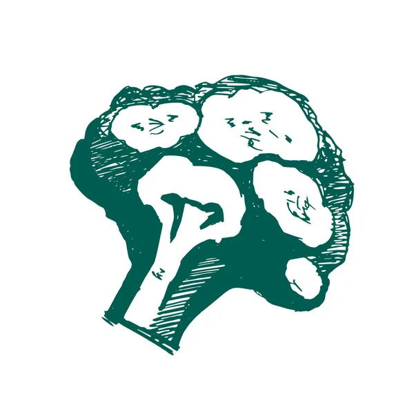 Brokoli Logosu Brokoli Düz Bir Şekilde Stilize Edilmiş Ikon Yeşil — Stok Vektör