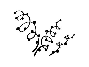 Dal karalama çizimi. Dekoratif bitki dalları beyaz arka planda izole edilmiş. siyah bitki