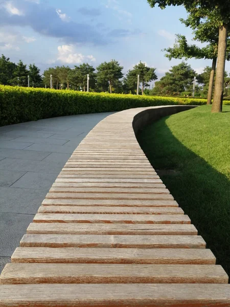 wooden planks and a road to go into the distance. winding path in the city park. sky, grass, summer day. nature for relaxation. shrubs