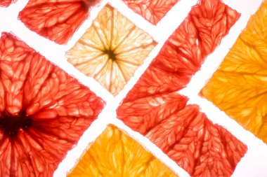 Şeffaflık kare dilim taze Narenciye meyve greyfurt kireç limon ve portakal üstten görünüm