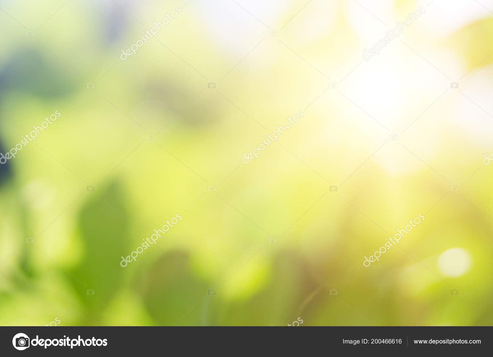 Nature Green Blur Background Bokeh Effect Defocused Image Sunlight Backdrop  — Stock Photo © simpson33 #200466616