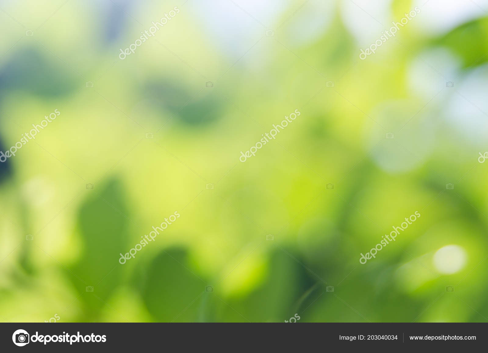 wallpapers Bokeh Photography Blur Background https depositphotos com 203040034 stock photo nature green blur background bokeh html