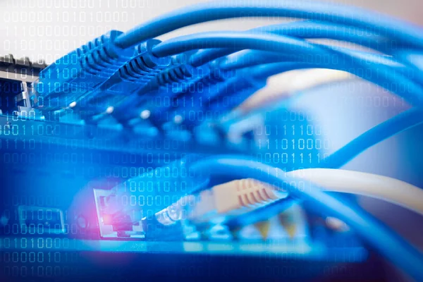 Hálózati kapcsoló aljzat a kábel-kapcsolatok — Stock Fotó