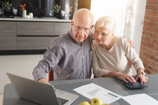 Äldre par betala räkningar tillsammans på laptop — Stockfoto