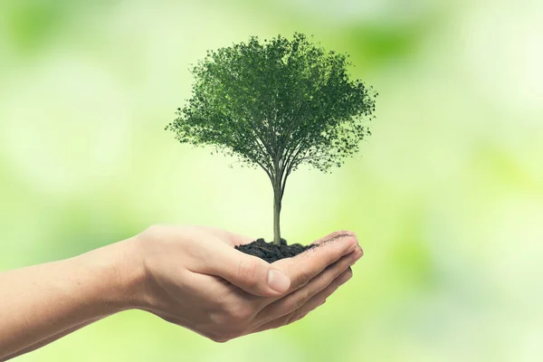 Människans Hand Håller Träd Mot Suddig Naturlig Bakgrund Rädda Naturen — Stockfoto