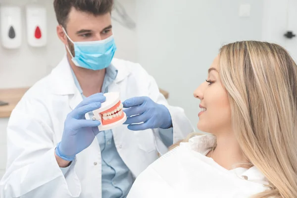Dentiste Tenant Des Échantillons Mâchoire Dent Consultation Professionnelle Clinique Dentaire — Photo