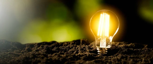 Glowing Led Light Bulb Ecological Friendly Sustainable Environment — Stock Photo, Image