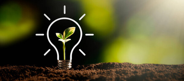 Лампочка с растущим растением. Экологически чистая и устойчивая окружающая среда