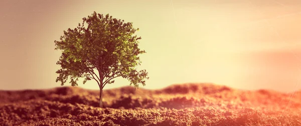 Samotne Drzewo Rosnące Pustyni Streszczenie Składu Graficznego — Zdjęcie stockowe