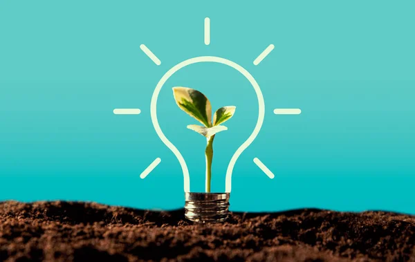 Glödlampa Med Växande Växt Miljövänlig Och Hållbar Miljö — Stockfoto