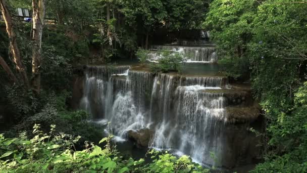 Belle Chute Eau Forêt Profonde Verser Rapidement Vers Bas Chaque — Video