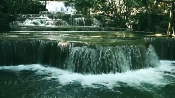 Hermosa Cascada Del Bosque Profundo Vierte Hacia Abajo Rápidamente Cada — Vídeo de stock