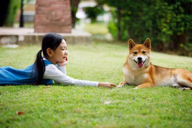 Genç ve güzel Asyalı kız parkta çim tarlasında kahverengi Shiba köpeğine yalan söylüyor ve sataşıyor.