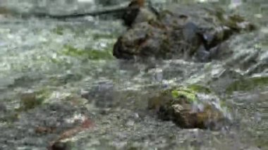 Nehir akışını kapat ve taşın üzerine su sıçrat ve dağlarda çakıl taşı kır manzarası gibi harika bir ilkbahar manzarası