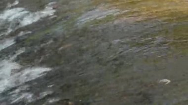 Nehir akışının kamera akışı ve dağlarda sıçrama kırsal alanların harika ilkbahar manzarası gibi.