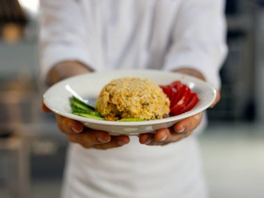 Modern konukseverlik endüstrisinde bir tabak taze sebzeli kızarmış pirinçli bir şefin yakın plan çekimi, gurme yemek sunumu, sağlıklı mutfak, restoran servisi ve mutfak kültürü