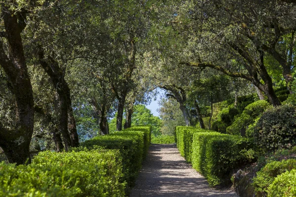 Marqueyssac Vezac 多尔多涅 Nouevelle 的花园 — 图库照片