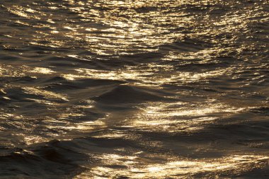 Seine, Paris, Fransa içinde güneşin yansıtacak