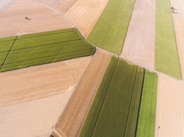 Shapes Field Richarville Essonne France — Stock Photo, Image