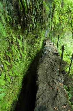 Caldeirao Verde yolu, Santana, Madeira, Portekiz