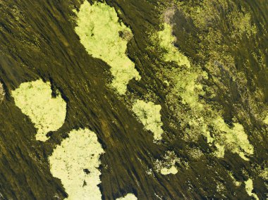 Dokular L'Ile Bouchard nehir, Indre-et-Loire, merkezi-Val de Loire, Fransa