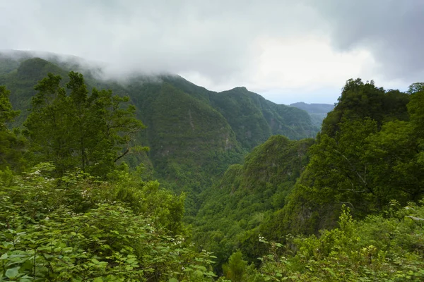 Caldeirao Verde Santana Madeira Portekiz Üzerinden Manzara — Stok fotoğraf