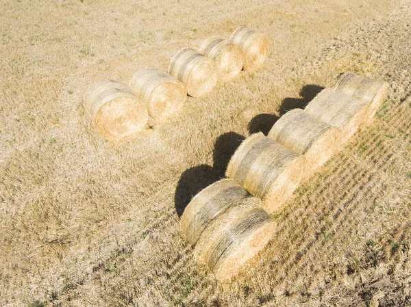 Bundles Vaugrigneuse Essonne Ile France France — Stock fotografie