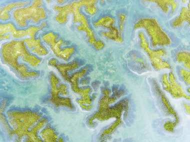 Doğal park Marsh Santona, Victoria ve Joyel, Cantabria, İspanya