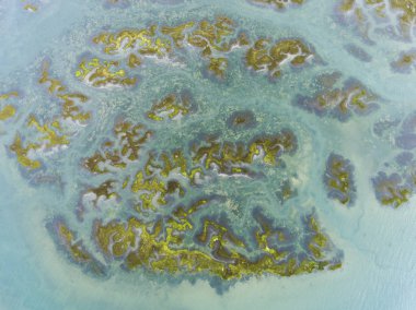 Doğal park Marsh Santona, Victoria ve Joyel, Cantabria, İspanya