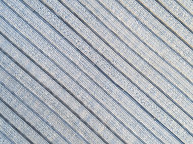 Chailly-en-Biere 'deki seralar, Seine-et-Marne, Ile-de-France, Fr