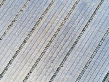 Chailly-en-Biere 'deki seralar, Seine-et-Marne, Ile-de-France, Fr