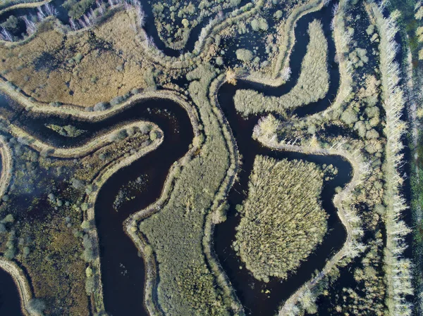Reserva natural del pantano de Larchant, Seine-et-Marne, Isla de Fra —  Fotos de Stock