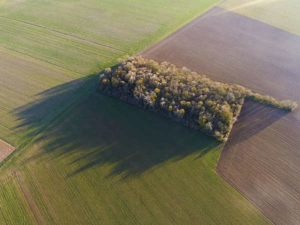 Field in Chalo-Saint-Mars, Essonne, ile-de-france, France ストックフォト