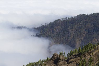 Teide Ulusal Parkı 'ndan bulutlar, Tenerife Adası, İspanya
