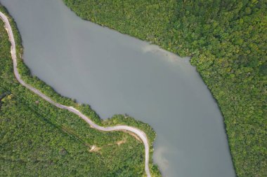 Ebro nehri Sobron, Burgos, Castilla y Leon, İspanya