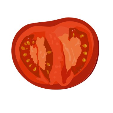 Domates dilim. Gerçekçi vektör çizim