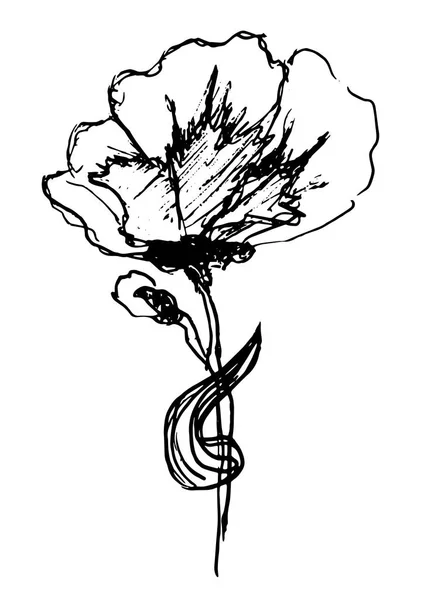 Flor dibujada a mano abstracta — Archivo Imágenes Vectoriales